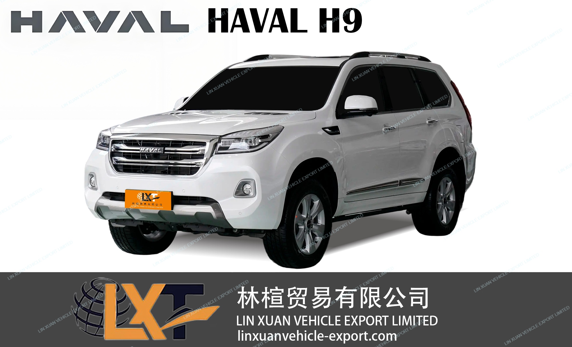 HAVAL H9